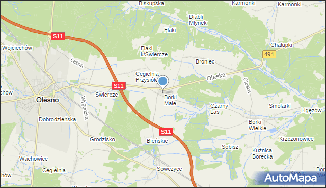 mapa Borki Małe, Borki Małe gmina Olesno na mapie Targeo